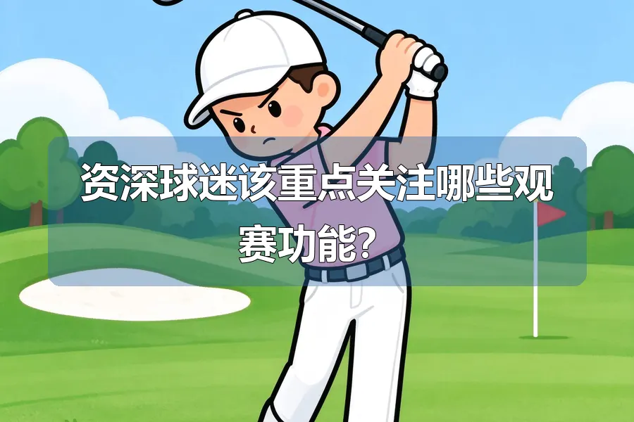 资深球迷该重点关注哪些观赛功能?